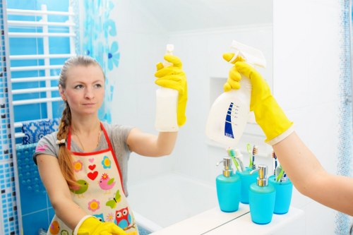 Professional upholstery cleaning for sofas in Ealing