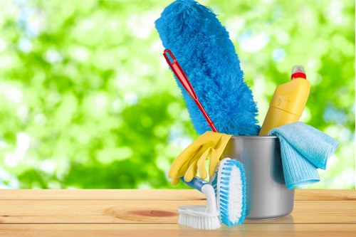 Professional stain removal service for carpets and upholstery in Ealing homes