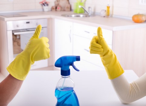 Technician treating a pet stain on a carpet in an Ealing home