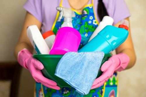 Deep cleaning equipment used for removing pet odour from upholstery