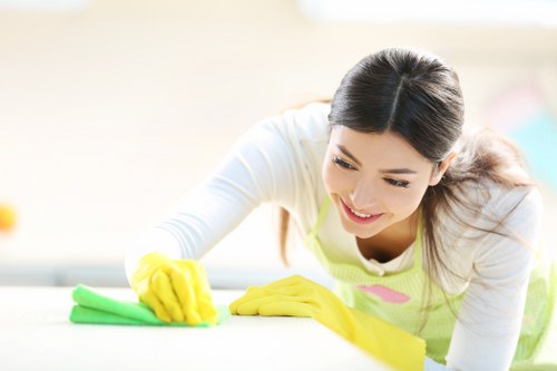 Property maintenance focused on gutters, fascia boards, and rainwater flow
