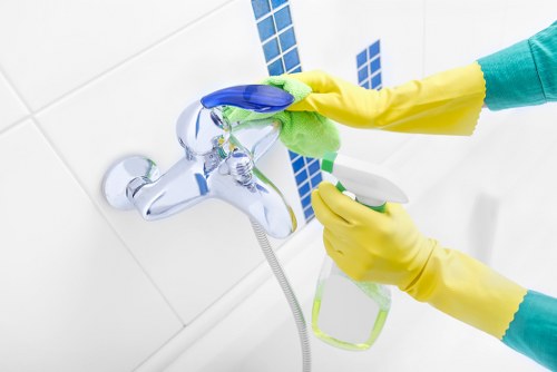 Recurring domestic cleaning in a typical Ealing property