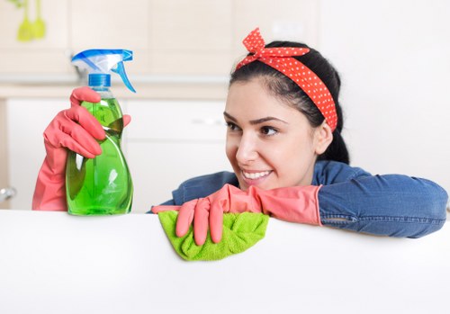 Regular cleaning support for flats, houses, and offices across Ealing
