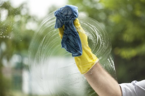 Local curtain cleaning for residential and commercial clients in Ealing