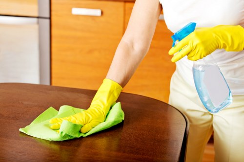 Cleaners in Ealing providing careful maintenance in a modern workspace